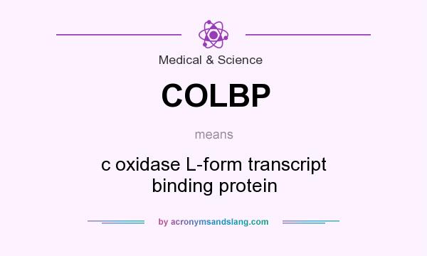 What does COLBP mean? It stands for c oxidase L-form transcript binding protein