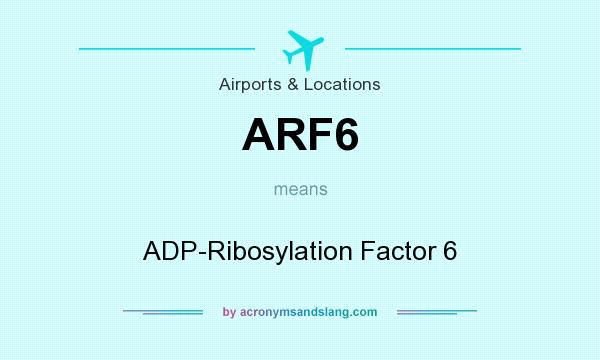 What does ARF6 mean? It stands for ADP-Ribosylation Factor 6