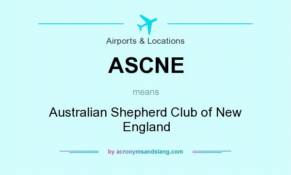 What does ASCNE mean? It stands for Australian Shepherd Club of New England