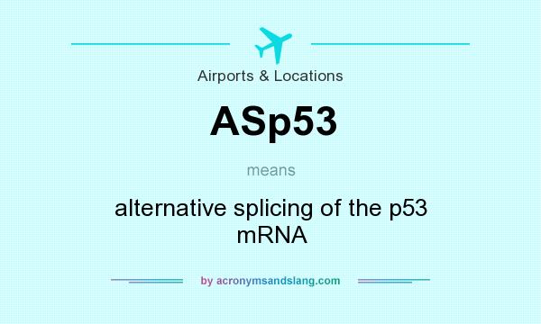 What does ASp53 mean? It stands for alternative splicing of the p53 mRNA