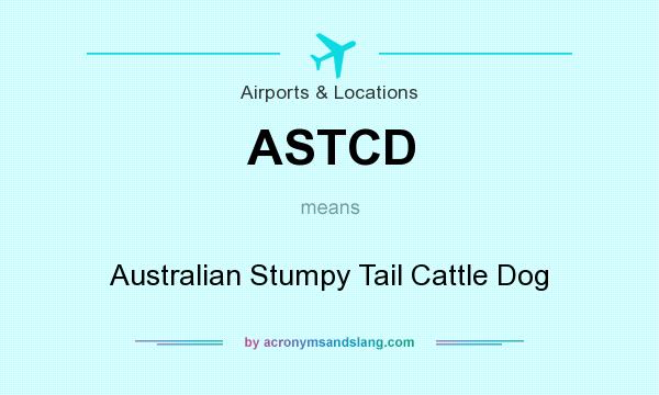 What does ASTCD mean? It stands for Australian Stumpy Tail Cattle Dog