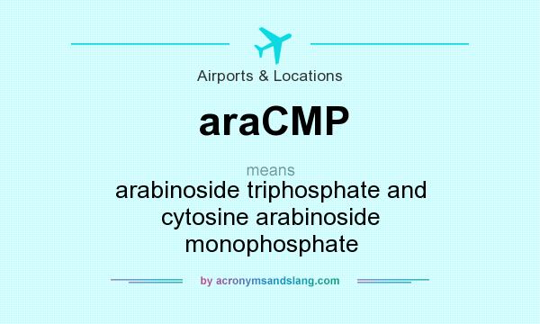 What does araCMP mean? It stands for arabinoside triphosphate and cytosine arabinoside monophosphate