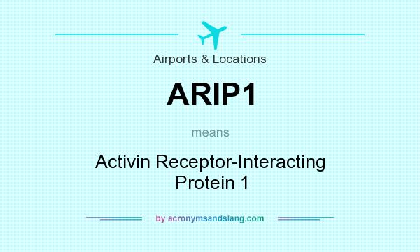 What does ARIP1 mean? It stands for Activin Receptor-Interacting Protein 1