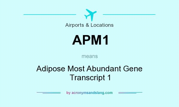 What does APM1 mean? It stands for Adipose Most Abundant Gene Transcript 1