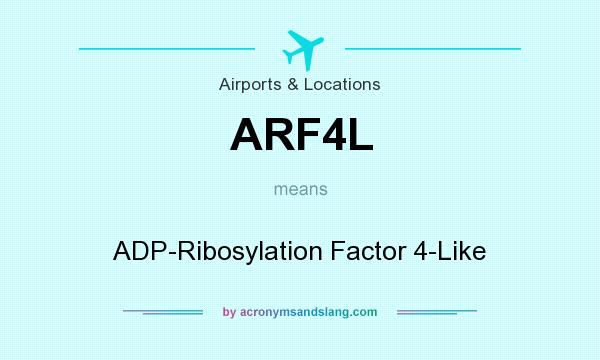 What does ARF4L mean? It stands for ADP-Ribosylation Factor 4-Like