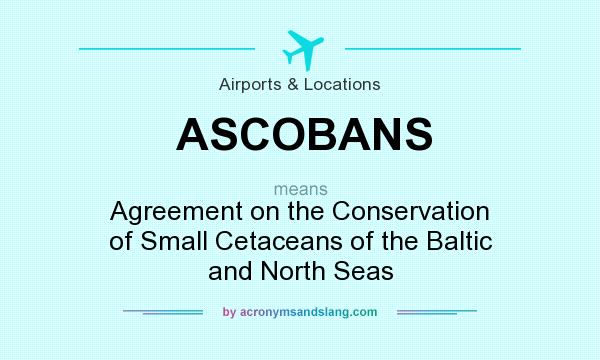 What does ASCOBANS mean? It stands for Agreement on the Conservation of Small Cetaceans of the Baltic and North Seas