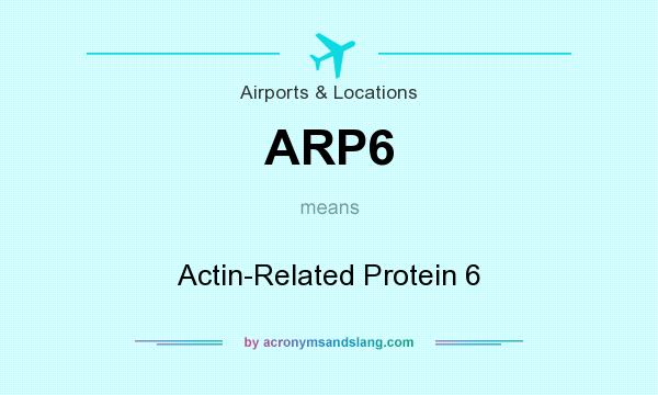 What does ARP6 mean? It stands for Actin-Related Protein 6