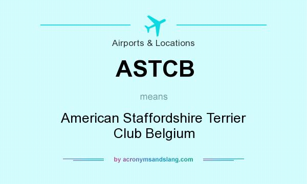 What does ASTCB mean? It stands for American Staffordshire Terrier Club Belgium