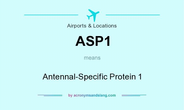 What does ASP1 mean? It stands for Antennal-Specific Protein 1