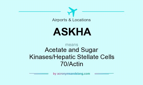 What does ASKHA mean? It stands for Acetate and Sugar Kinases/Hepatic Stellate Cells 70/Actin