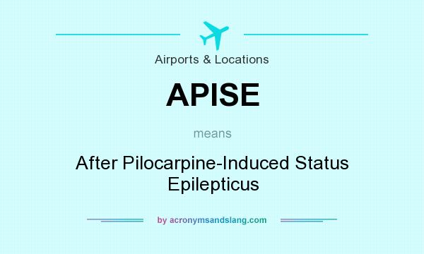 What does APISE mean? It stands for After Pilocarpine-Induced Status Epilepticus