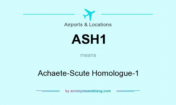 What does ASH1 mean? It stands for Achaete-Scute Homologue-1