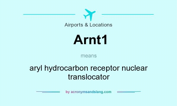 What does Arnt1 mean? It stands for aryl hydrocarbon receptor nuclear translocator