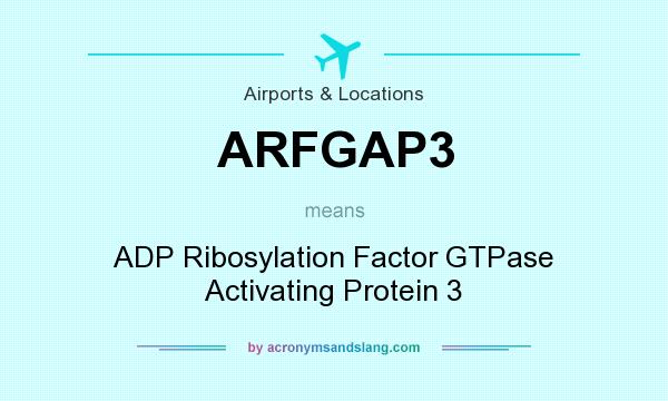 What does ARFGAP3 mean? It stands for ADP Ribosylation Factor GTPase Activating Protein 3