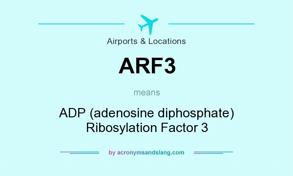 What does ARF3 mean? It stands for ADP (adenosine diphosphate) Ribosylation Factor 3