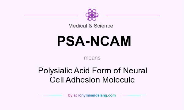 What does PSA-NCAM mean? It stands for Polysialic Acid Form of Neural Cell Adhesion Molecule