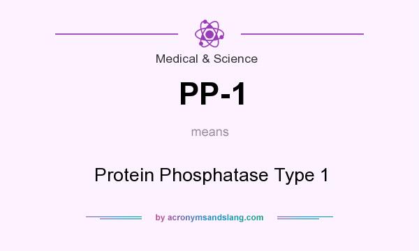 What does PP-1 mean? It stands for Protein Phosphatase Type 1