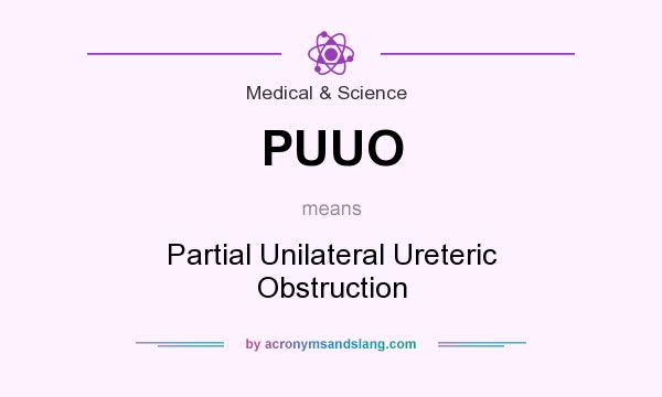 What does PUUO mean? It stands for Partial Unilateral Ureteric Obstruction