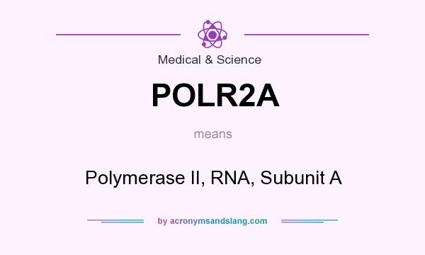 What does POLR2A mean? It stands for Polymerase II, RNA, Subunit A