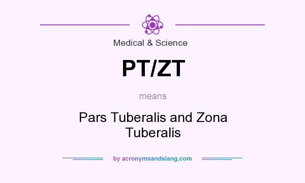 What does PT/ZT mean? It stands for Pars Tuberalis and Zona Tuberalis
