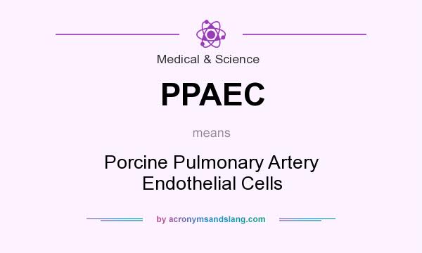 What does PPAEC mean? It stands for Porcine Pulmonary Artery Endothelial Cells