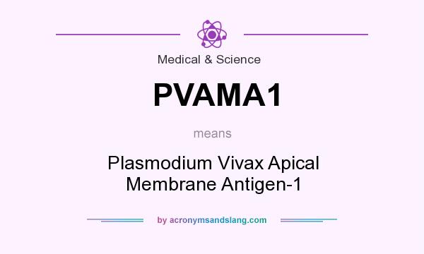 What does PVAMA1 mean? It stands for Plasmodium Vivax Apical Membrane Antigen-1