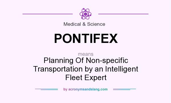 What does PONTIFEX mean? It stands for Planning Of Non-specific Transportation by an Intelligent Fleet Expert