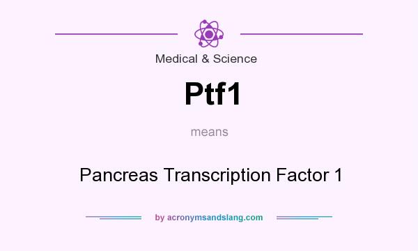 What does Ptf1 mean? It stands for Pancreas Transcription Factor 1