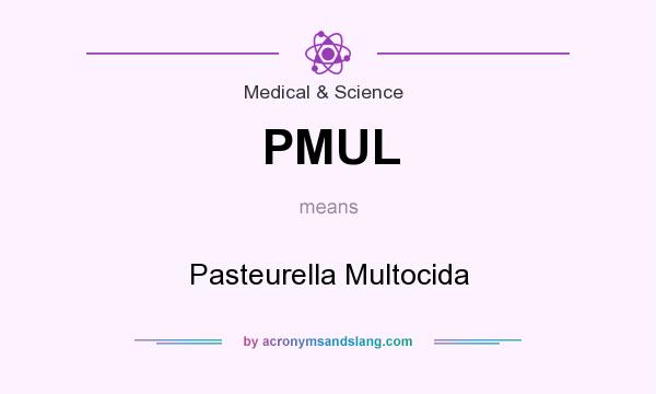 What does PMUL mean? It stands for Pasteurella Multocida