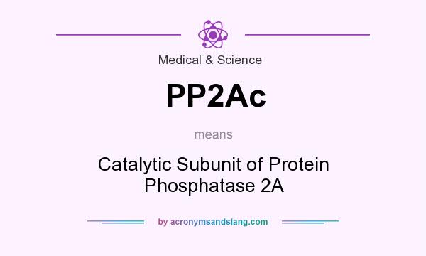 What does PP2Ac mean? It stands for Catalytic Subunit of Protein Phosphatase 2A