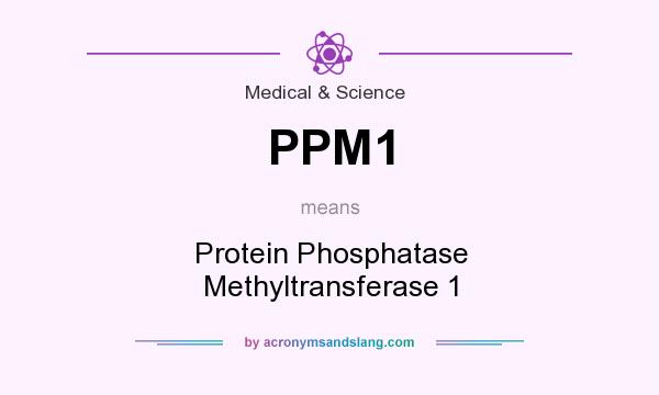 What does PPM1 mean? It stands for Protein Phosphatase Methyltransferase 1