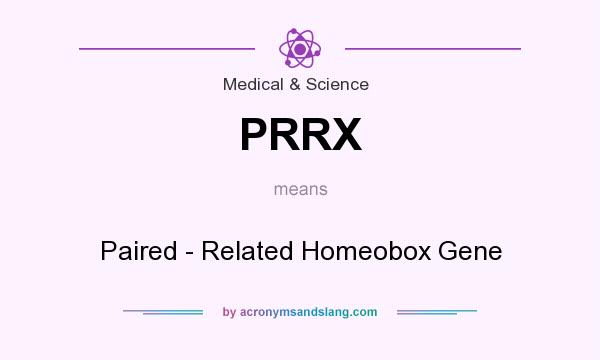 What does PRRX mean? It stands for Paired - Related Homeobox Gene