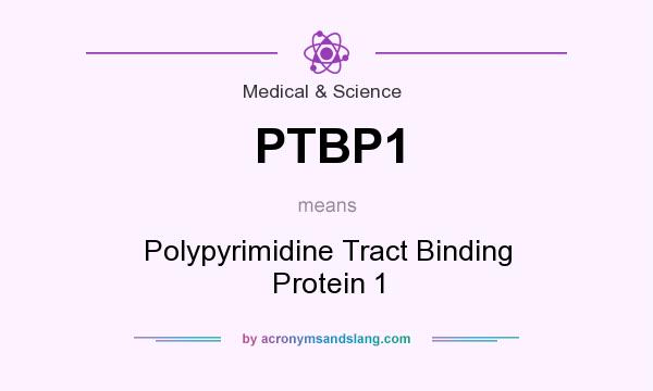 What does PTBP1 mean? It stands for Polypyrimidine Tract Binding Protein 1