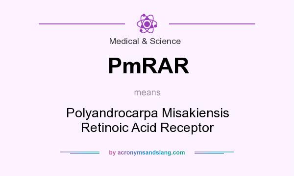 What does PmRAR mean? It stands for Polyandrocarpa Misakiensis Retinoic Acid Receptor