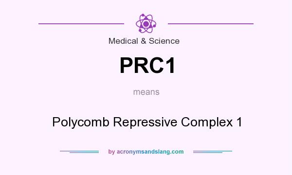 What does PRC1 mean? It stands for Polycomb Repressive Complex 1