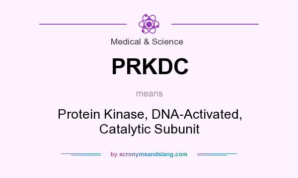 What does PRKDC mean? It stands for Protein Kinase, DNA-Activated, Catalytic Subunit
