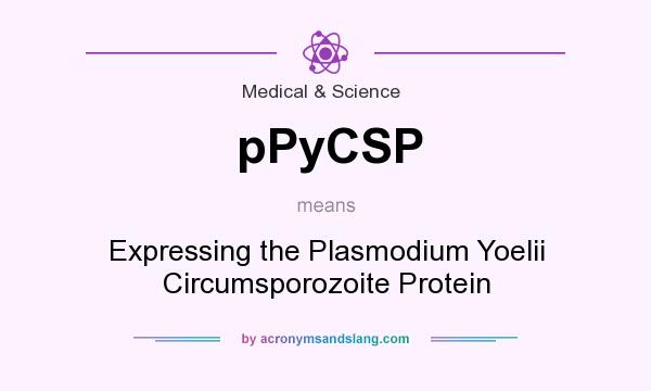 What does pPyCSP mean? It stands for Expressing the Plasmodium Yoelii Circumsporozoite Protein