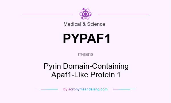 What does PYPAF1 mean? It stands for Pyrin Domain-Containing Apaf1-Like Protein 1