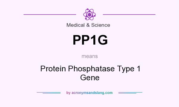 What does PP1G mean? It stands for Protein Phosphatase Type 1 Gene