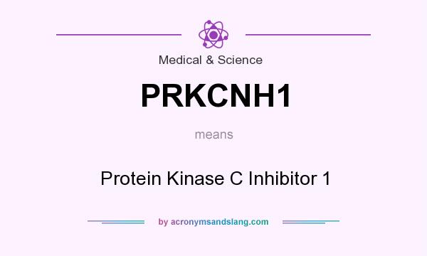 What does PRKCNH1 mean? It stands for Protein Kinase C Inhibitor 1