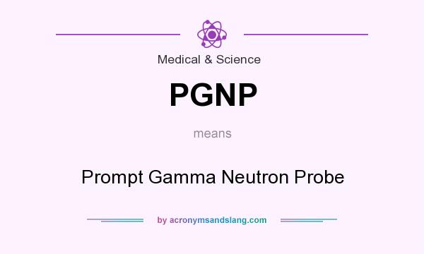 What does PGNP mean? It stands for Prompt Gamma Neutron Probe
