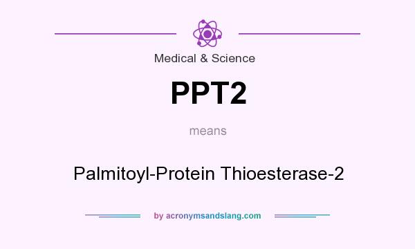 What does PPT2 mean? It stands for Palmitoyl-Protein Thioesterase-2