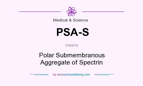 What does PSA-S mean? It stands for Polar Submembranous Aggregate of Spectrin