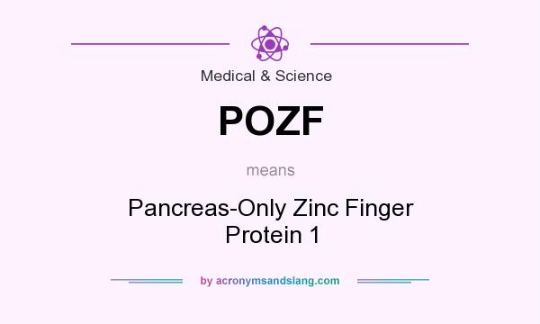 What does POZF mean? It stands for Pancreas-Only Zinc Finger Protein 1