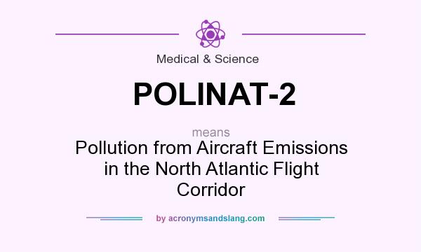 What does POLINAT-2 mean? It stands for Pollution from Aircraft Emissions in the North Atlantic Flight Corridor