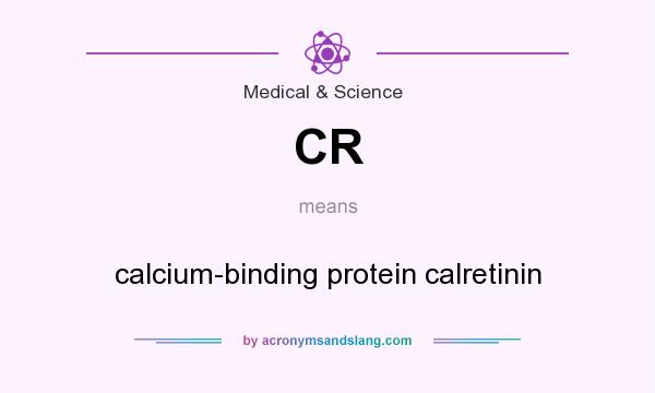 What does CR mean? It stands for calcium-binding protein calretinin