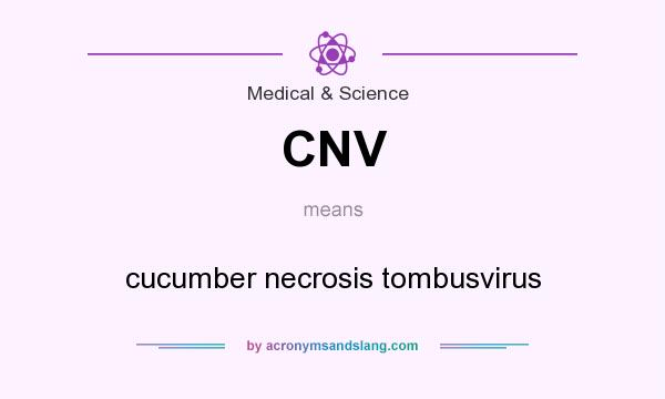 What does CNV mean? It stands for cucumber necrosis tombusvirus