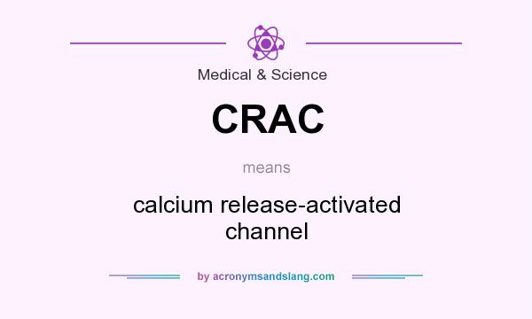 What does CRAC mean? It stands for calcium release-activated channel