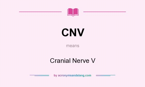 What does CNV mean? It stands for Cranial Nerve V