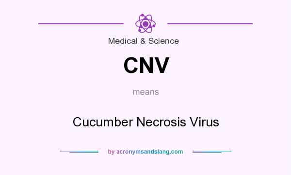 What does CNV mean? It stands for Cucumber Necrosis Virus